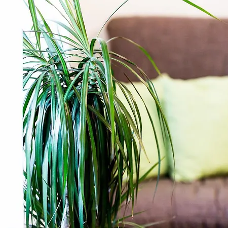 Cafe & Wein Gaestehaus Kurz Appartement