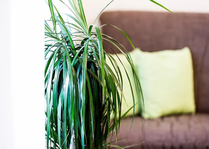 Cafe & Wein Gaestehaus Kurz Appartement